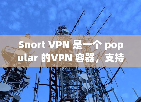 Snort VPN 是一个 popular 的VPN 容器，支持 Windows、Mac 和 Linux 系统。以下是一些用于登录和配置 Snort VPN 的步骤