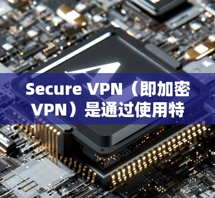Secure VPN（即加密VPN）是通过使用特定的VPN协议来确保数据在传输过程中的安全性。这类 VPN 节点通常包括以下几个关键组成部分