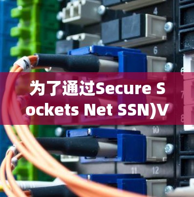 为了通过Secure Sockets Net SSN)VPN,按照以下步骤操作 为了通过Secure Sockets Net SSN)VPN,按照以下步骤操作