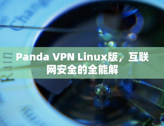 Panda VPN Linux版,互联网安全的全能解 Panda VPN Linux版,互联网安全的全能解