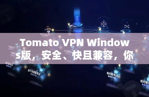 Tomato VPN Windows版，安全、快且兼容，你的选择