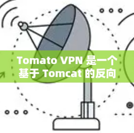 Tomato VPN 是一个基于 Tomcat 的反向代理工具，主要用于网络攻击、防火墙管理等。它的主要功能包括