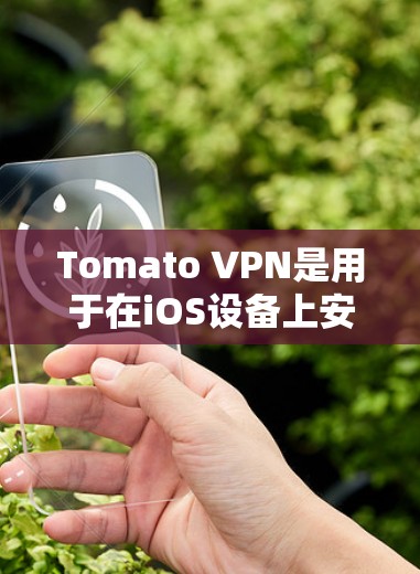 Tomato VPN是用于在iOS设备上安装VPN服务的一个开源工具。它支持多种加密协议，包括TLS 1.2和SSL 3.适合需要高安全性的用户