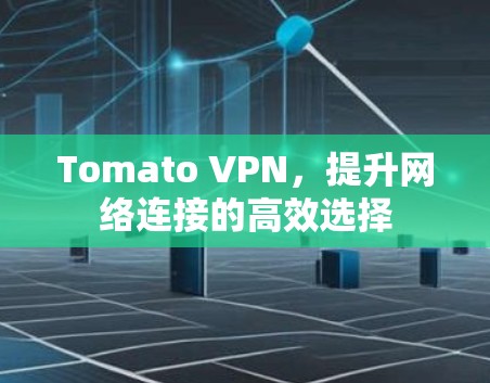 Tomato VPN,提升网络连接的高效选择 Tomato VPN,提升网络连接的高效选择