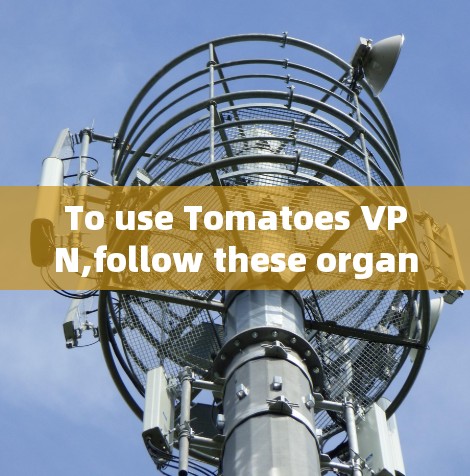 To use Tomatoes VPN,follow these organized steps: