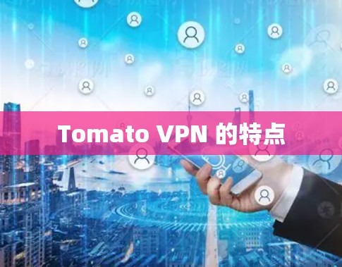 Tomato VPN 的特点 Tomato VPN 的特点
