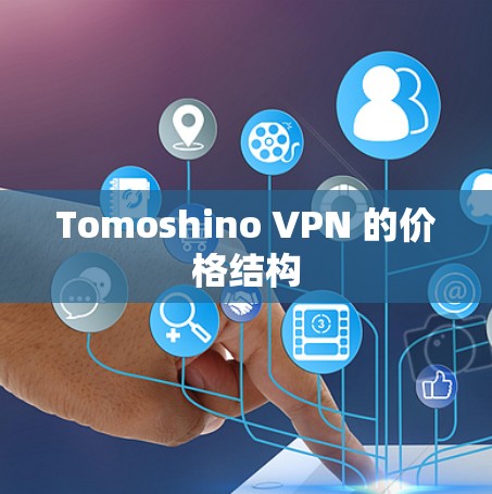 Tomoshino VPN 的价格结构