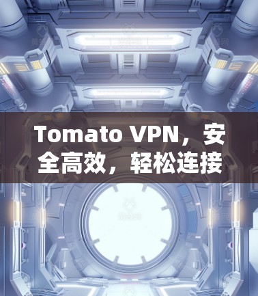 Tomato VPN,安全高效,轻松连接远程办公 Tomato VPN,安全高效,轻松连接远程办公