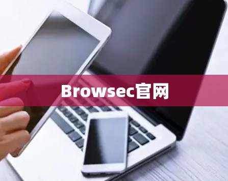 Browsec官网