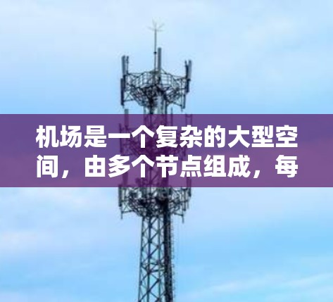 机场是一个复杂的大型空间，由多个节点组成，每个节点都有其特定的功能和用途。以下是一些主要的机场节点及其功能