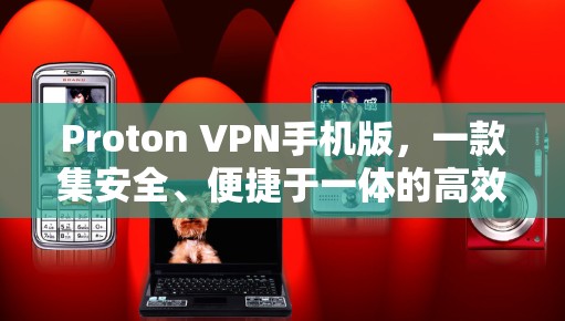 Proton VPN手机版，一款集安全、便捷于一体的高效VPN解决方案