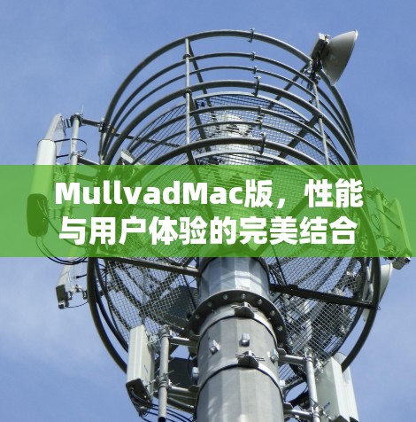 MullvadMac版，性能与用户体验的完美结合