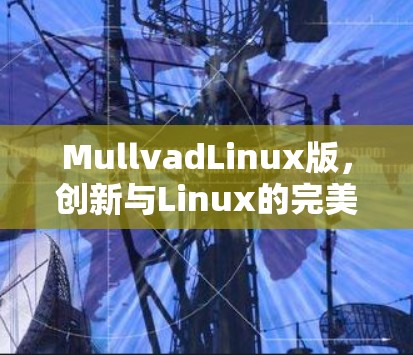 MullvadLinux版，创新与Linux的完美融合