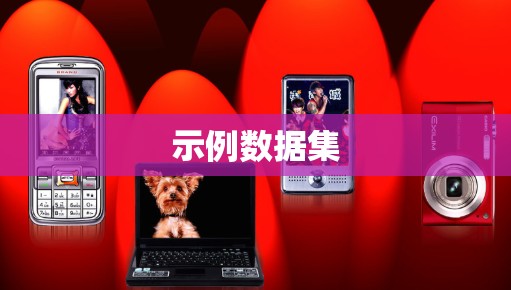 示例数据集