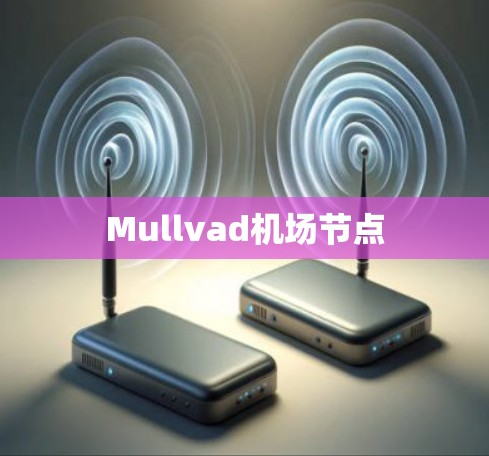 Mullvad机场节点