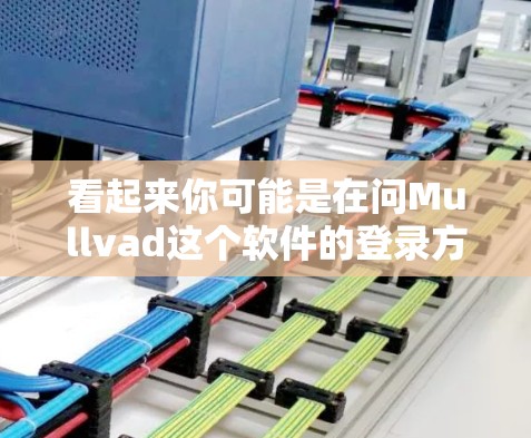 看起来你可能是在问Mullvad这个软件的登录方法。由于我无法直接访问外部链接或查看特定软件的功能，我无法提供具体的步骤。不过，我可以为你提供一个通用的登录流程，假设你有一个类似的应用程序或平台