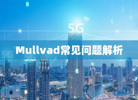 Mullvad常见问题解析