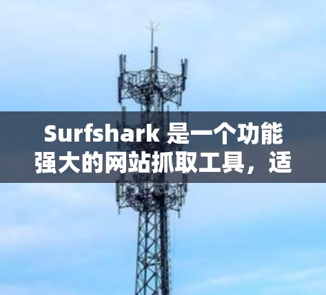 Surfshark 是一个功能强大的网站抓取工具，适合用于爬取网页内容、分析网站结构和优化网站。以下是使用Surfshark的基本步骤
