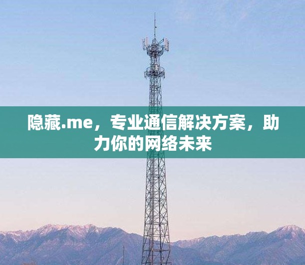 隐藏.me，专业通信解决方案，助力你的网络未来