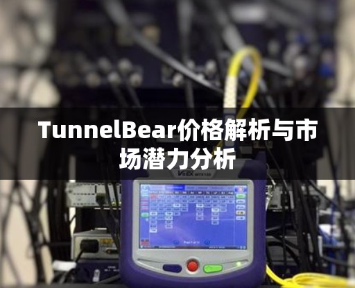 TunnelBear价格解析与市场潜力分析 TunnelBear价格解析与市场潜力分析