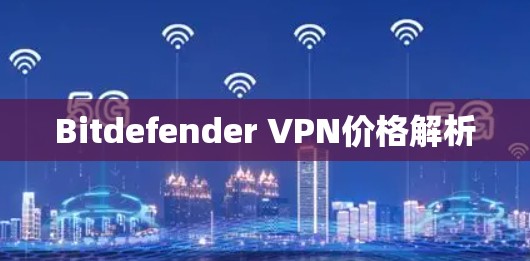 Bitdefender VPN价格解析