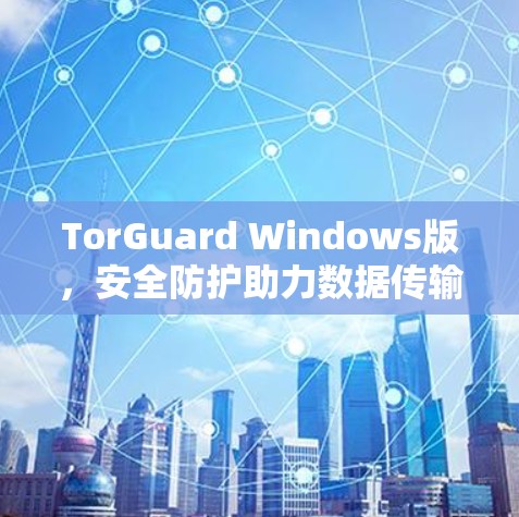 TorGuard Windows版，安全防护助力数据传输