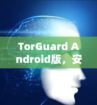 TorGuard Android版,安全防护与用户体验优化 TorGuard Android版,安全防护与用户体验优化