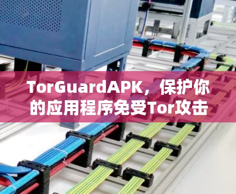 TorGuardAPK,保护你的应用程序免受Tor攻击的高效解决方案 TorGuardAPK,保护你的应用程序免受Tor攻击的高效解决方案