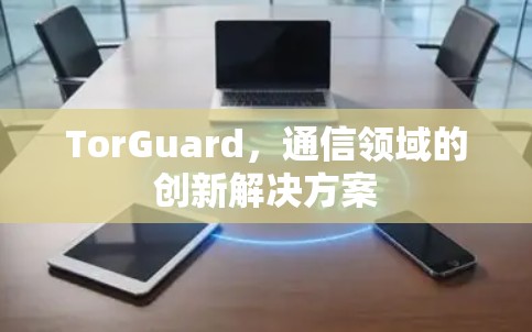 TorGuard,通信领域的创新解决方案 TorGuard,通信领域的创新解决方案