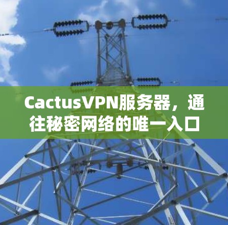 CactusVPN服务器,通往秘密网络的唯一入口 CactusVPN服务器,通往秘密网络的唯一入口