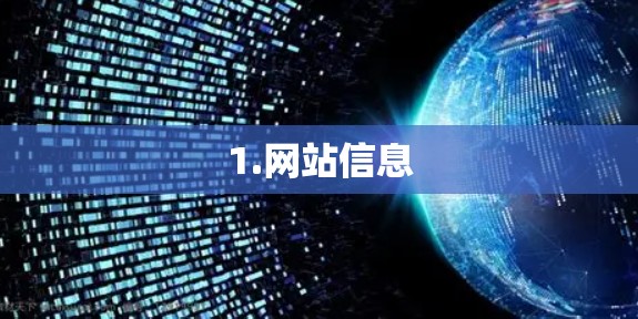1.网站信息 1.网站信息