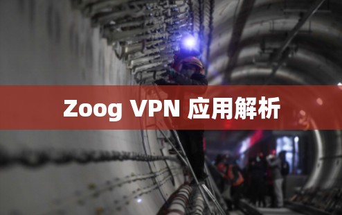 Zoog VPN 应用解析 Zoog VPN 应用解析