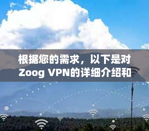根据您的需求，以下是对Zoog VPN的详细介绍和购买建议
