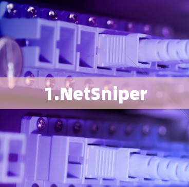 1.NetSniper 1.NetSniper