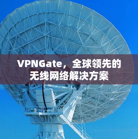 VPNGate,全球领先的无线网络解决方案 VPNGate,全球领先的无线网络解决方案