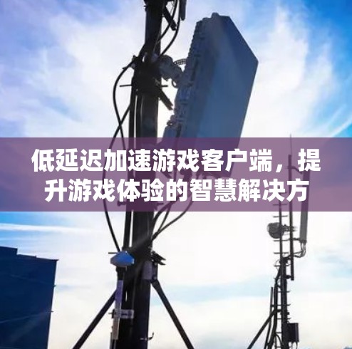 低延迟加速游戏客户端,提升游戏体验的智慧解决方案 低延迟加速游戏客户端,提升游戏体验的智慧解决方案