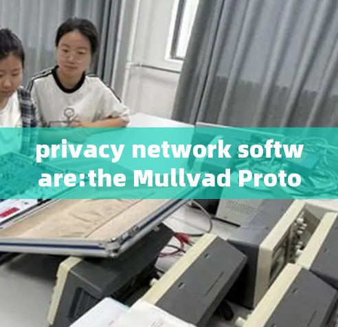privacy network software:the Mullvad Proton VPN