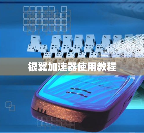 银翼加速器使用教程