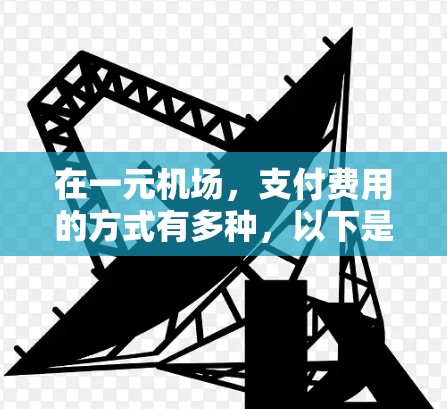 在一元机场,支付费用的方式有多种,以下是一些常见的支付方式和步骤 在一元机场,支付费用的方式有多种,以下是一些常见的支付方式和步骤