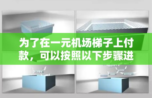 为了在一元机场梯子上付款，可以按照以下步骤进行