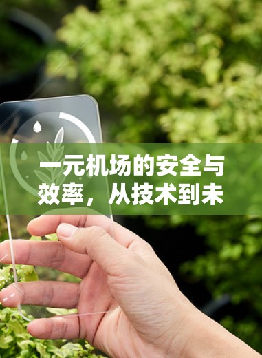一元机场的安全与效率,从技术到未来的展望 一元机场的安全与效率,从技术到未来的展望