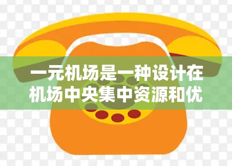 一元机场是一种设计在机场中央集中资源和优化流程的特殊机场结构，旨在提高服务的效率和便利性。以下是对这一设计的详细分析