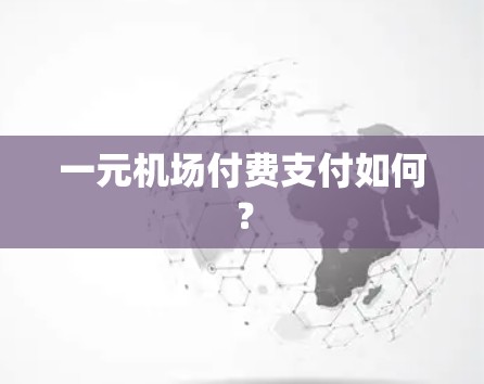 一元机场付费支付如何？