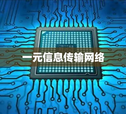 一元信息传输网络
