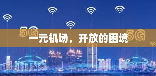一元机场,开放的困境 一元机场,开放的困境