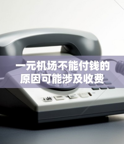一元机场不能付钱的原因可能涉及收费结构、资源需求和经济条件等多个方面。以下是详细的解释
