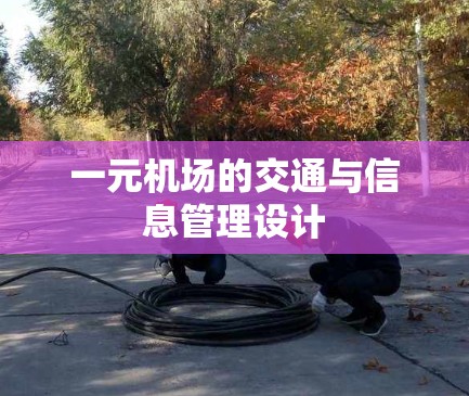 一元机场的交通与信息管理设计