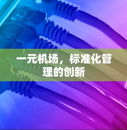 一元机场，标准化管理的创新