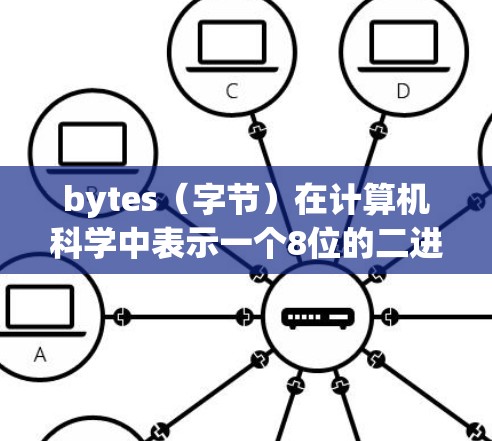 bytes（字节）在计算机科学中表示一个8位的二进制数据。在机场服务中，使用bytes通常与价格相关，特别是在计算费用时。例如，如果每小时收费1字节（即1元）那么1小时的费用就是1元