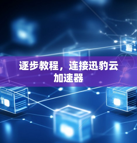逐步教程,连接迅豹云加速器 逐步教程,连接迅豹云加速器